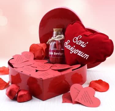 Kutu Ve Peluş Oyuncak