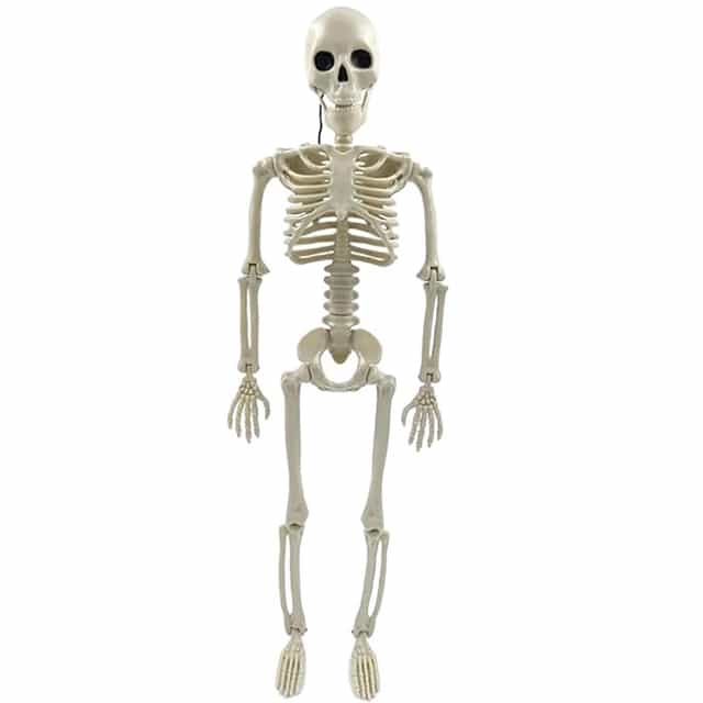 Cadılar Bayramı Gerçek Görünümlü İskelet Asma Süs