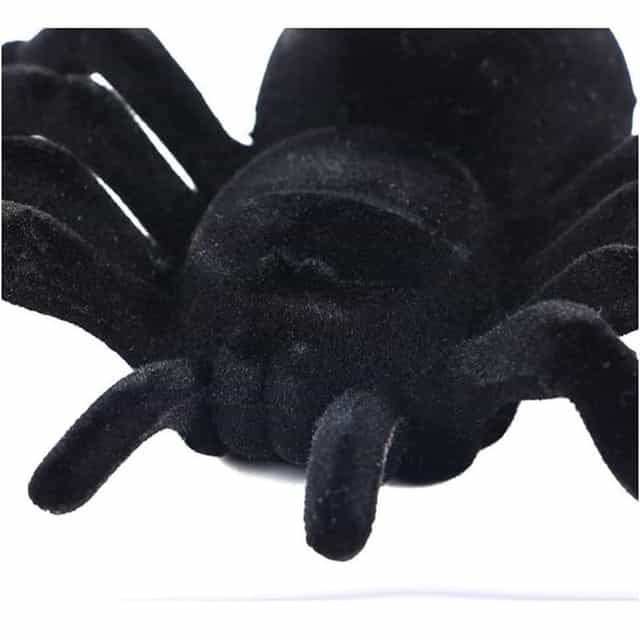Cadılar Bayramı Şaka Tarantula