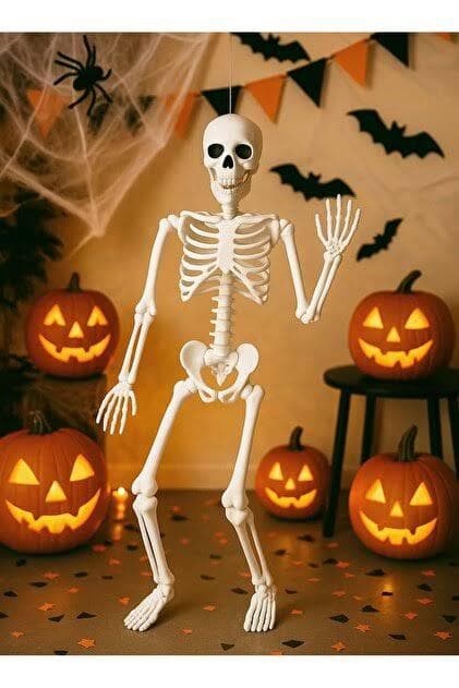 İskelet Halloween Cadılar Bayramı