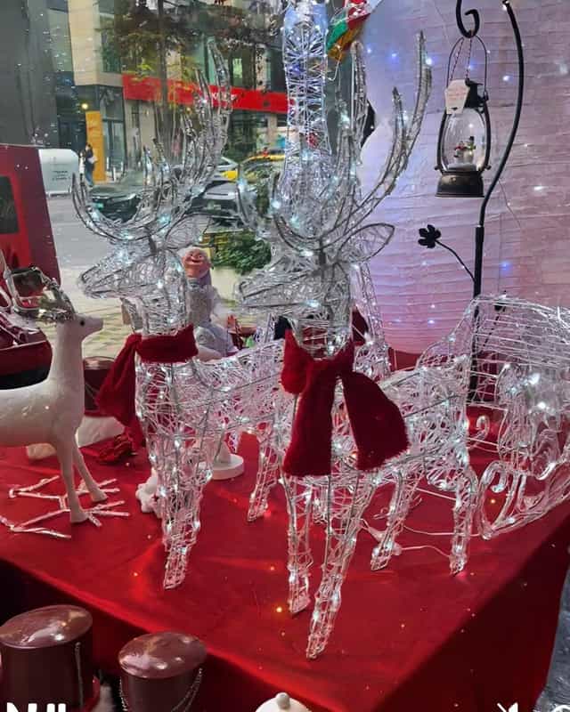 Yılbaşı Işıkllı Kızaklı 3 lÜ Geyik Seti 240 Led