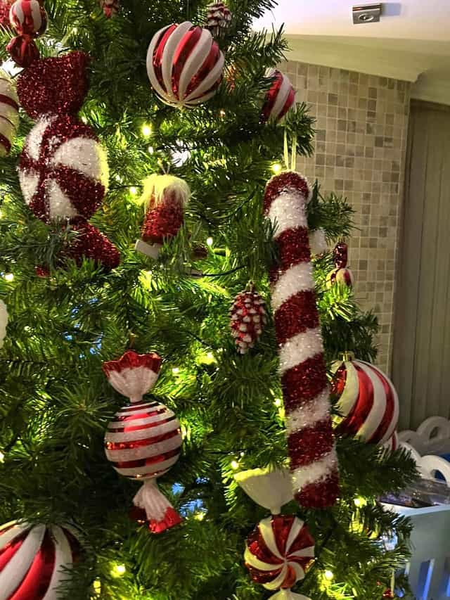 250 CM Yılbaşı Çam Ağacı 1620 Yoğun dallı