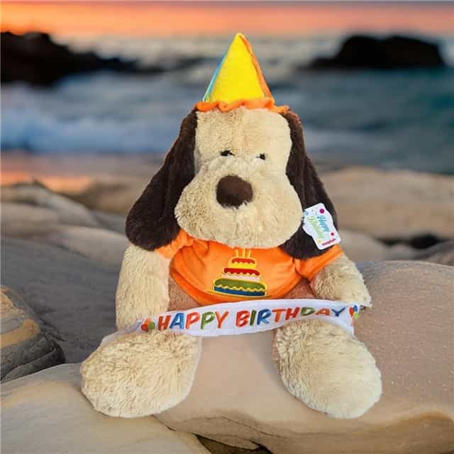 Oturan Happy Birthday Köpek