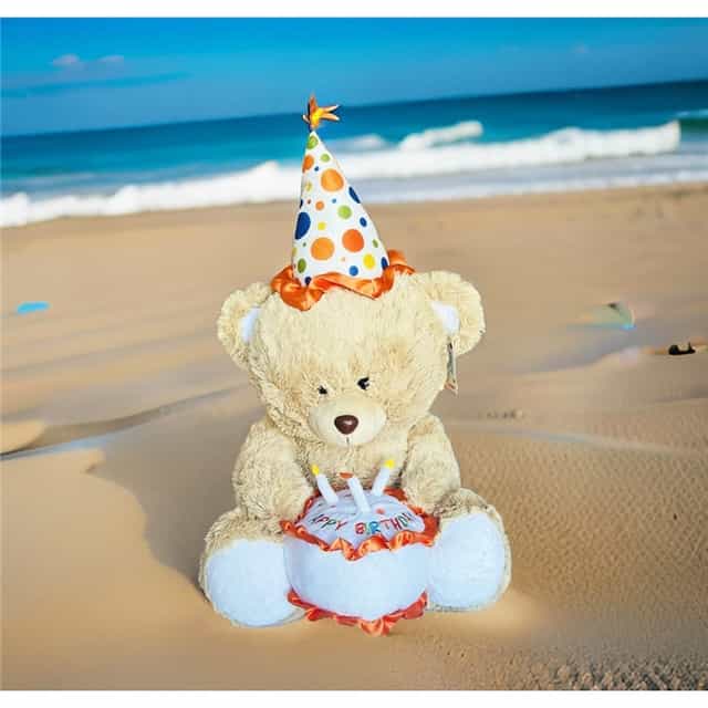 Oturan Pastalı Ayı